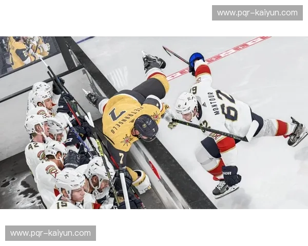 NHL入口:开启你的冰球世界之门